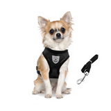 Breathable Mesh Harness & Leash Set for Small - Medium Dogs