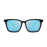 Classic Polarized Ray-Ban Wayfarer Style Sunglasses | Posh Pick Me Ups