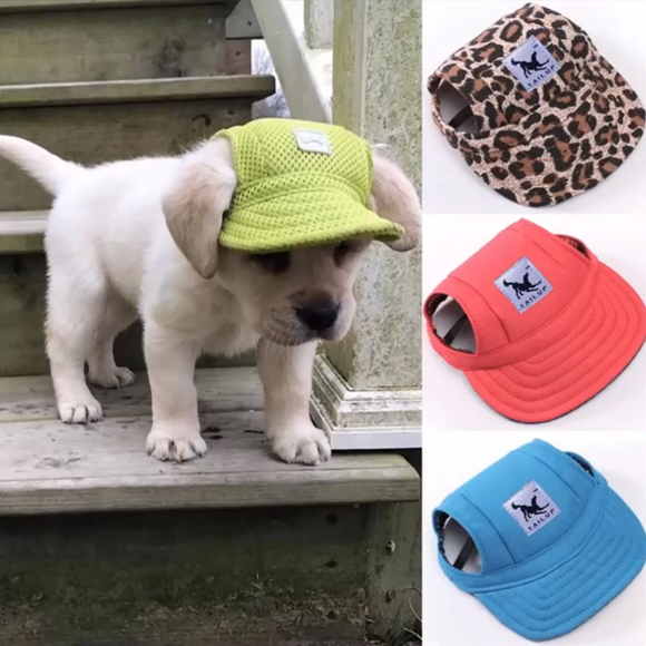 Dog Sunscreen Baseball Cap Sun Hat for Dogs main image | Posh Pick Me Ups