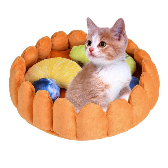 Fruit Tart Cat Bed Luxury Sleep Squeaky Fruits Toys Cat | Posh Pick Me Ups
