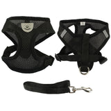 Buy Mesh Harness & Leash Set for Small Dogs Online || Posh Pick Me Ups