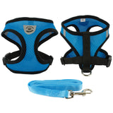 Buy Mesh Harness & Leash Set for Small Dogs Online || Posh Pick Me Ups