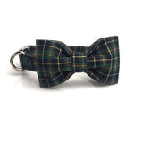 Green Scottish Plaid Designer Collar, Bowtie & Leash Sets Dogs & Cats