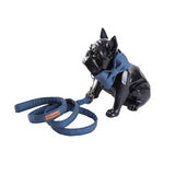 Denim Blue Designer Collar, Bowtie & Leash Sets Dogs & Cats